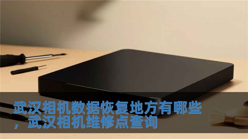 武漢相機數(shù)據(jù)恢復(fù)地方有哪些，武漢相機維修點查詢