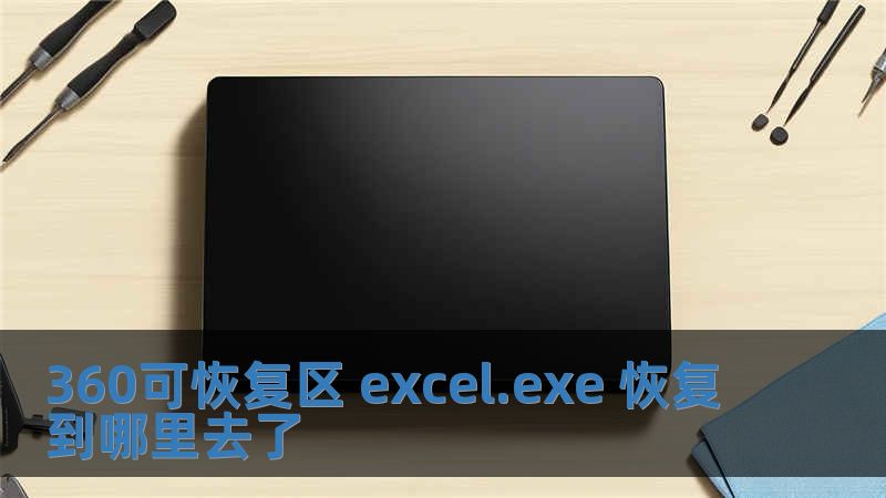 360可恢復區 excel.exe 恢復到哪里去了