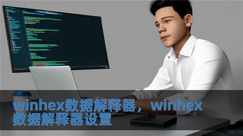 winhex數(shù)據解釋器，winhex數(shù)據解釋器設置