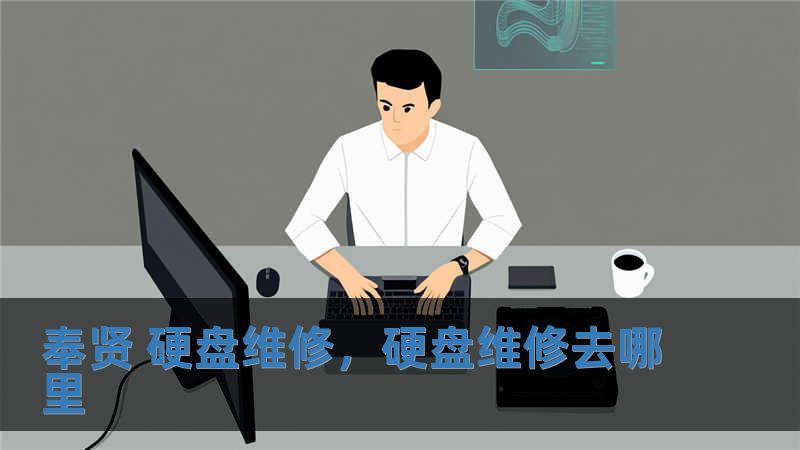 奉賢 硬盤維修，硬盤維修去哪里