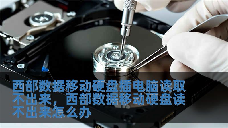 西部數(shù)據(jù)移動(dòng)硬盤(pán)插電腦讀取不出來(lái)，西部數(shù)據(jù)移動(dòng)硬盤(pán)讀不出來(lái)怎么辦