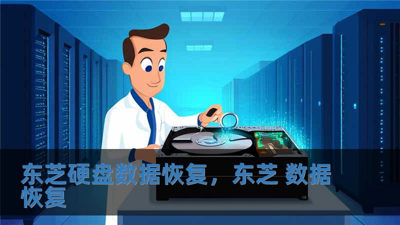 東芝硬盤(pán)數(shù)據(jù)恢復(fù)，東芝 數(shù)據(jù)恢復(fù)