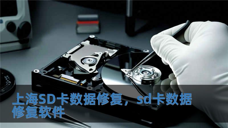 上海SD卡數(shù)據(jù)修復(fù)，sd卡數(shù)據(jù)修復(fù)軟件