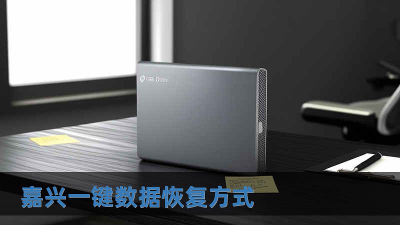 嘉興一鍵數據恢復方式