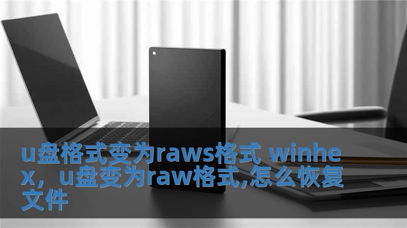 u盤格式變?yōu)閞aws格式 winhex，u盤變?yōu)閞aw格式,怎么恢復文件