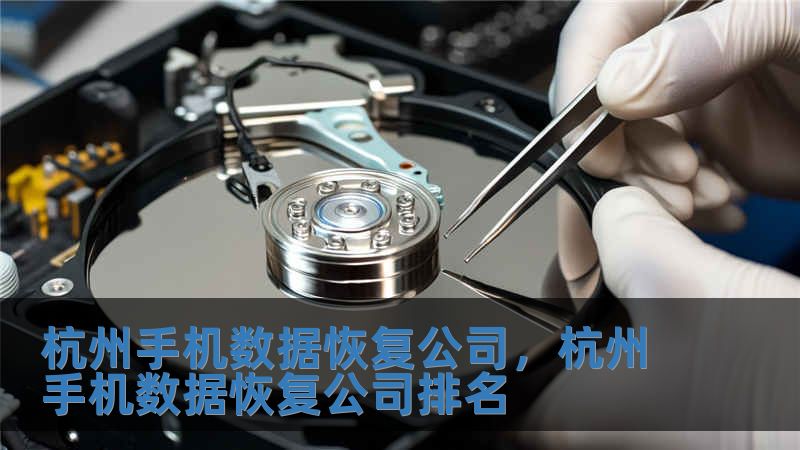 杭州手機數(shù)據(jù)恢復公司，杭州手機數(shù)據(jù)恢復公司排名