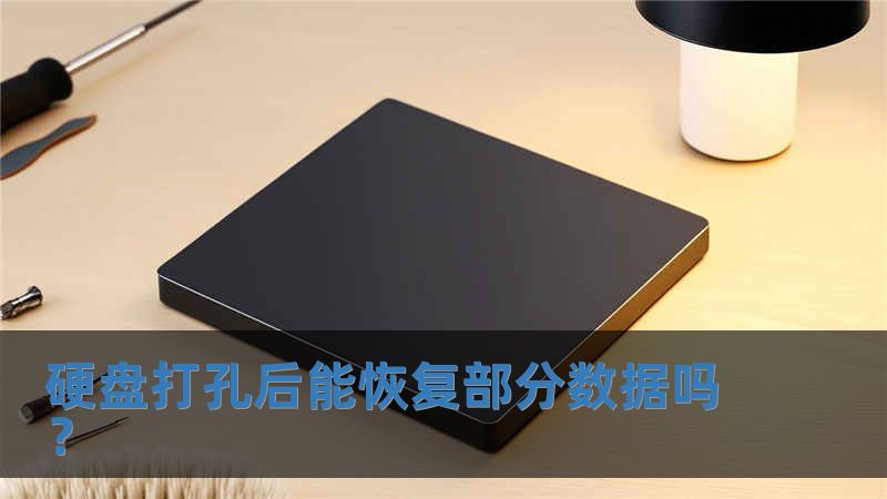 硬盤(pán)打孔后能恢復(fù)部分?jǐn)?shù)據(jù)嗎？