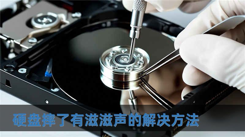 硬盤摔了有滋滋聲的解決方法