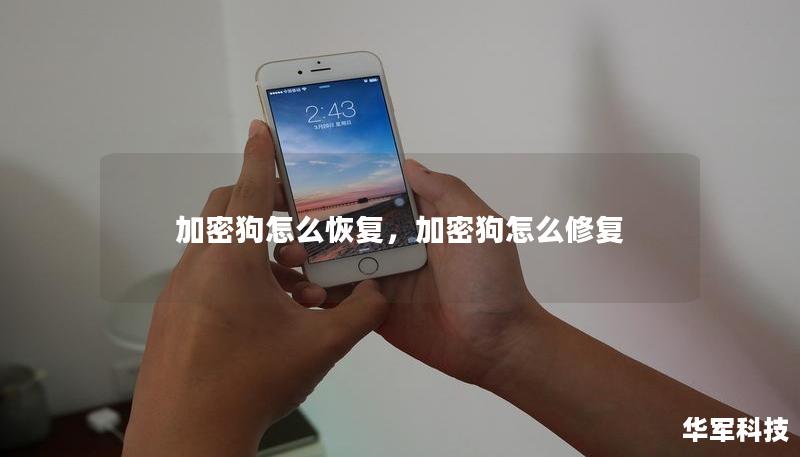 加密狗怎么恢復，加密狗怎么修復