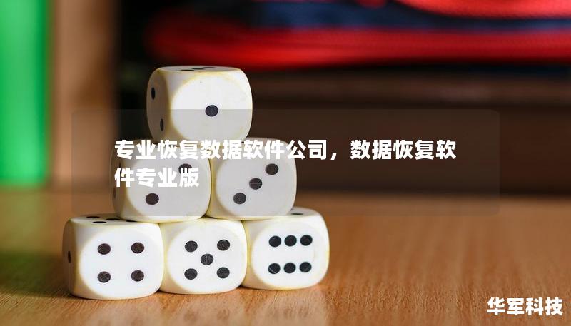 專業(yè)恢復(fù)數(shù)據(jù)軟件公司，數(shù)據(jù)恢復(fù)軟件專業(yè)版