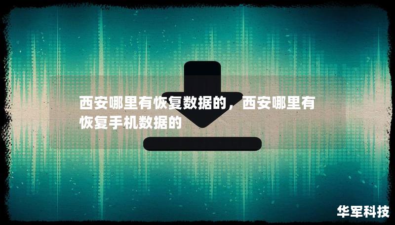 西安哪里有恢復(fù)數(shù)據(jù)的，西安哪里有恢復(fù)手機(jī)數(shù)據(jù)的