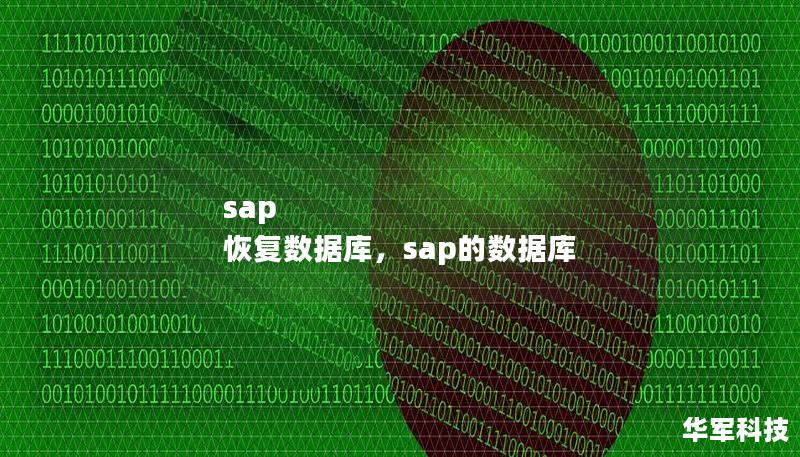sap 恢復(fù)數(shù)據(jù)庫，sap的數(shù)據(jù)庫