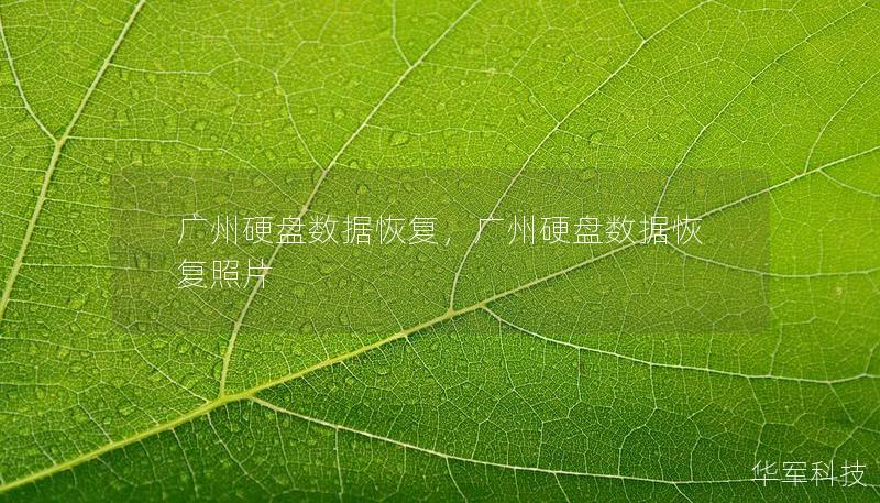 廣州硬盤數據恢復，廣州硬盤數據恢復照片