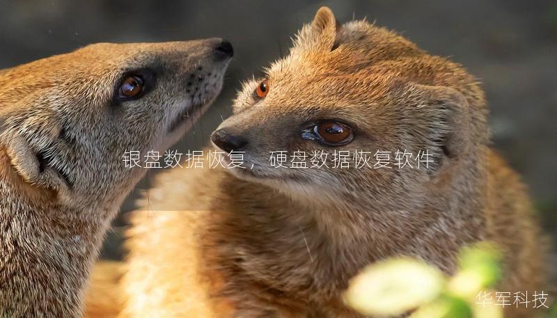 銀盤數據恢復，硬盤數據恢復軟件