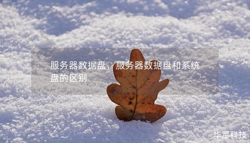 服務器數據盤，服務器數據盤和系統盤的區別