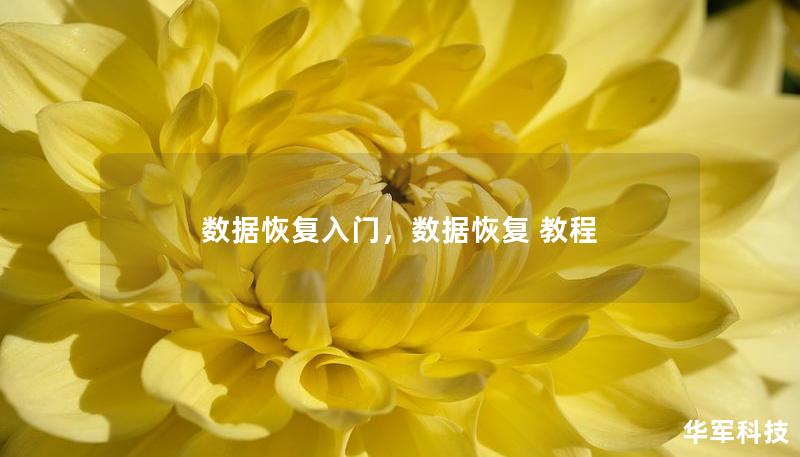 數據恢復入門，數據恢復 教程