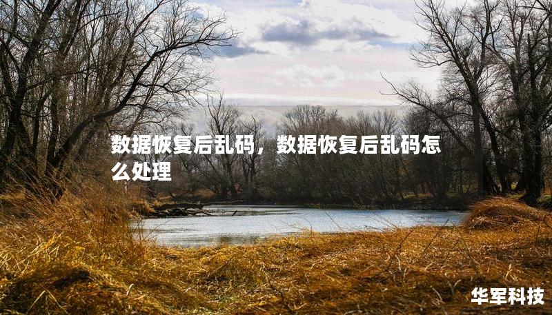 數(shù)據(jù)恢復(fù)后亂碼，數(shù)據(jù)恢復(fù)后亂碼怎么處理
