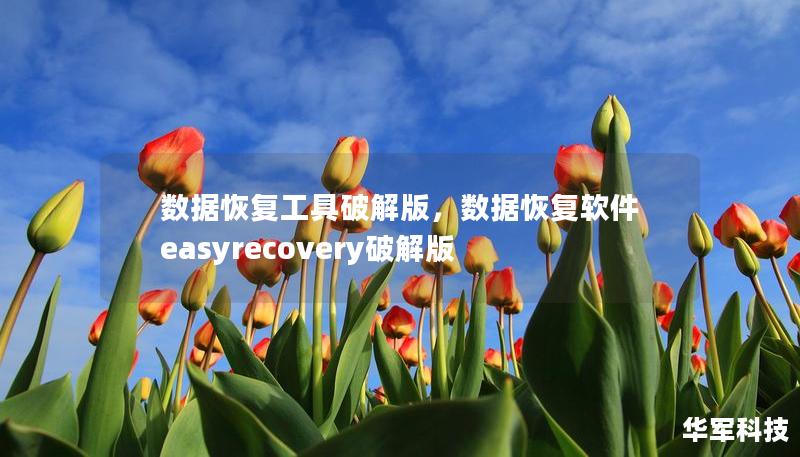 數據恢復工具破解版，數據恢復軟件easyrecovery破解版