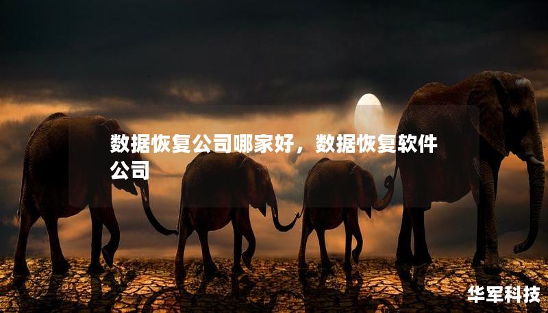 數(shù)據(jù)恢復(fù)公司哪家好，數(shù)據(jù)恢復(fù)軟件公司