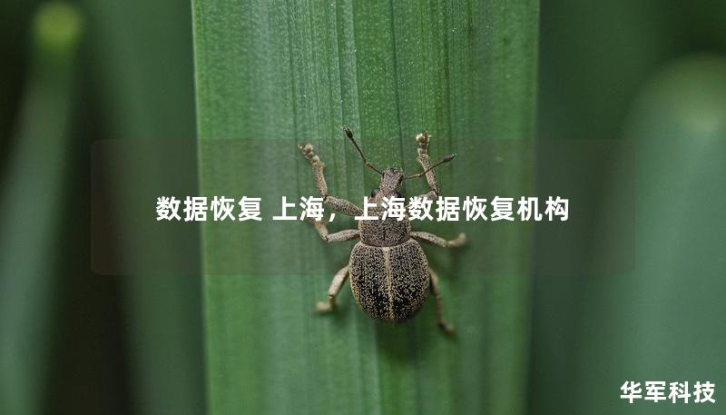 數據恢復 上海，上海數據恢復機構