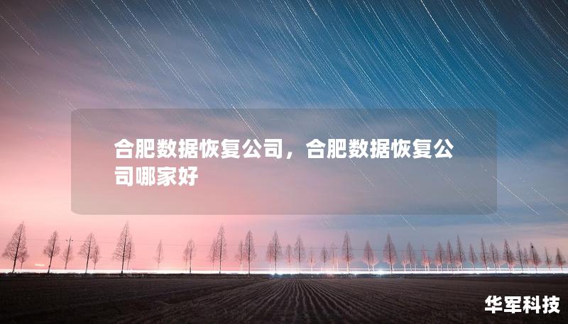 合肥數(shù)據(jù)恢復公司，合肥數(shù)據(jù)恢復公司哪家好