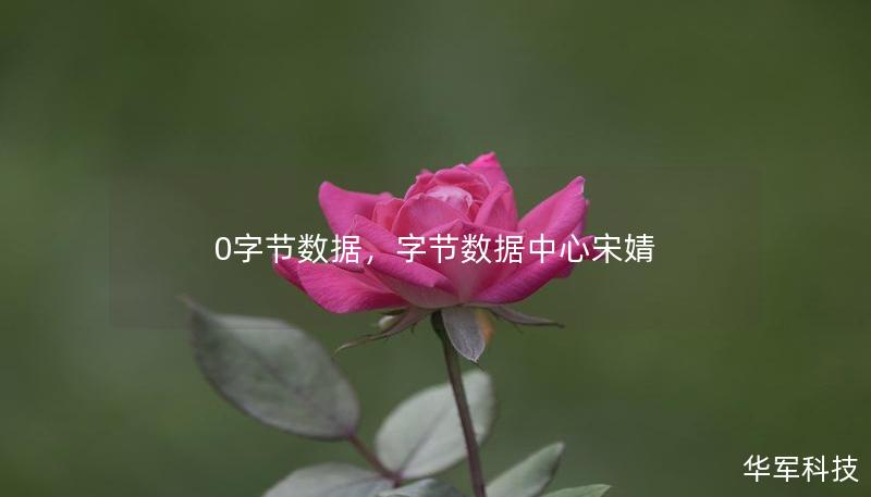 0字節數據，字節數據中心宋婧