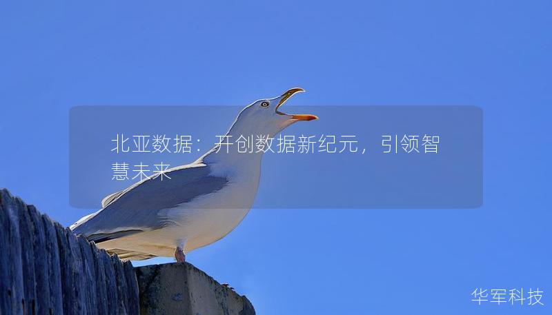 北亞數(shù)據(jù)：開(kāi)創(chuàng)數(shù)據(jù)新紀(jì)元，引領(lǐng)智慧未來(lái)