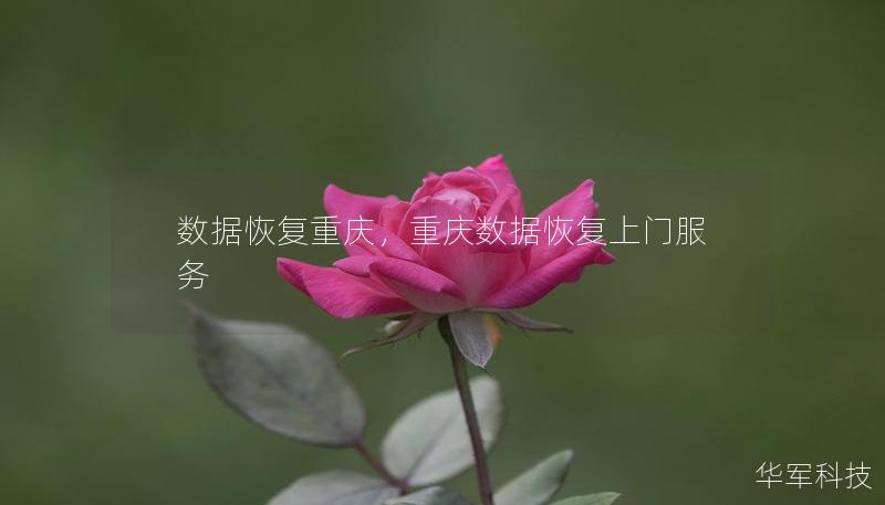 數(shù)據(jù)恢復(fù)重慶，重慶數(shù)據(jù)恢復(fù)上門服務(wù)