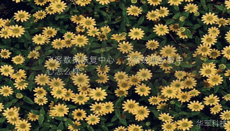 飛客數(shù)據(jù)恢復(fù)中心，飛客數(shù)據(jù)恢復(fù)中心怎么樣