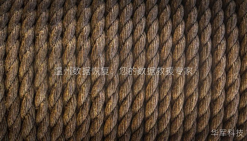 溫州數(shù)據(jù)恢復(fù)：您的數(shù)據(jù)救援專(zhuān)家