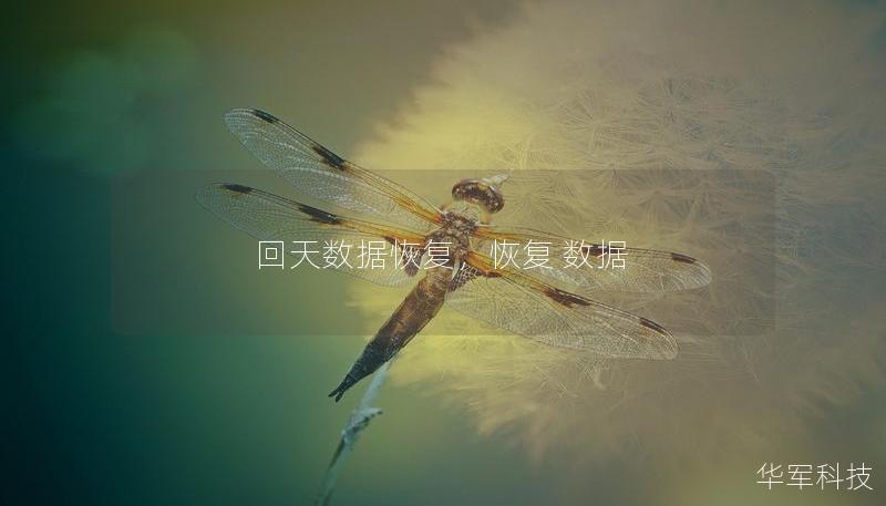 回天數據恢復，恢復 數據