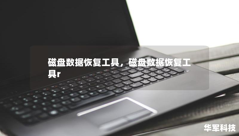 磁盤數(shù)據(jù)恢復(fù)工具，磁盤數(shù)據(jù)恢復(fù)工具r