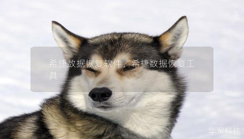 希捷數(shù)據(jù)恢復軟件，希捷數(shù)據(jù)恢復工具