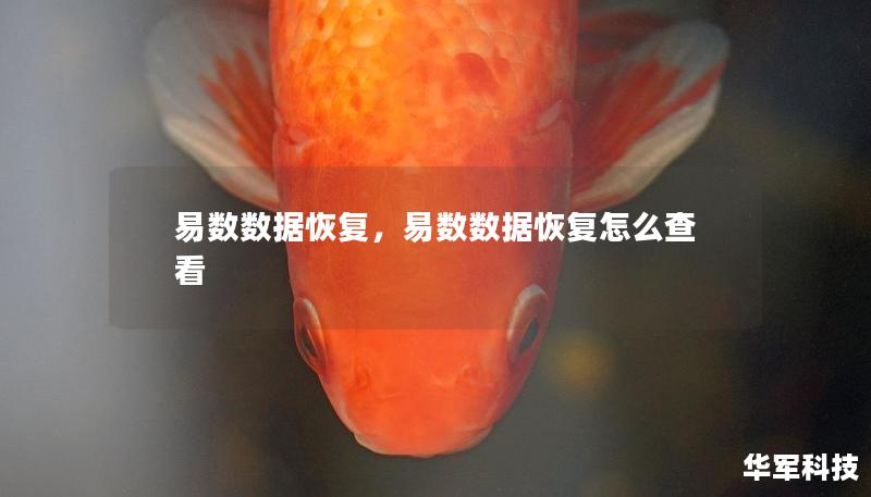 易數數據恢復，易數數據恢復怎么查看