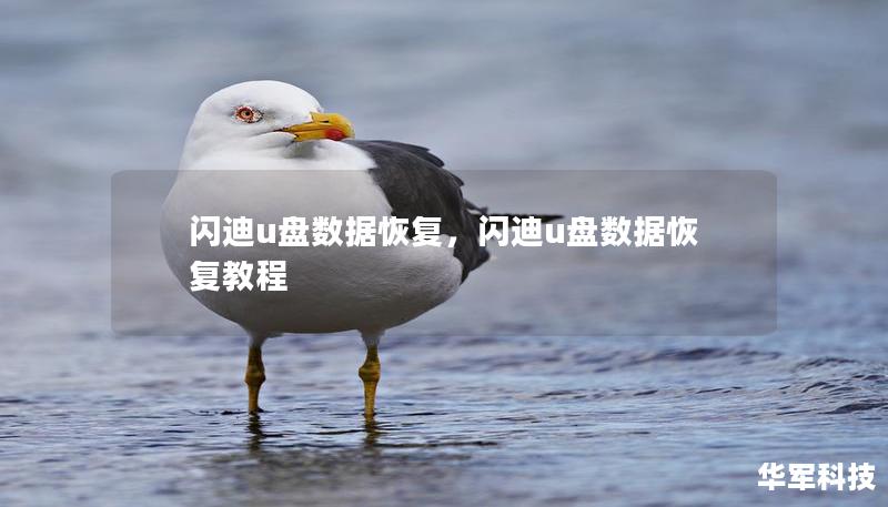 閃迪u盤數(shù)據(jù)恢復(fù)，閃迪u盤數(shù)據(jù)恢復(fù)教程