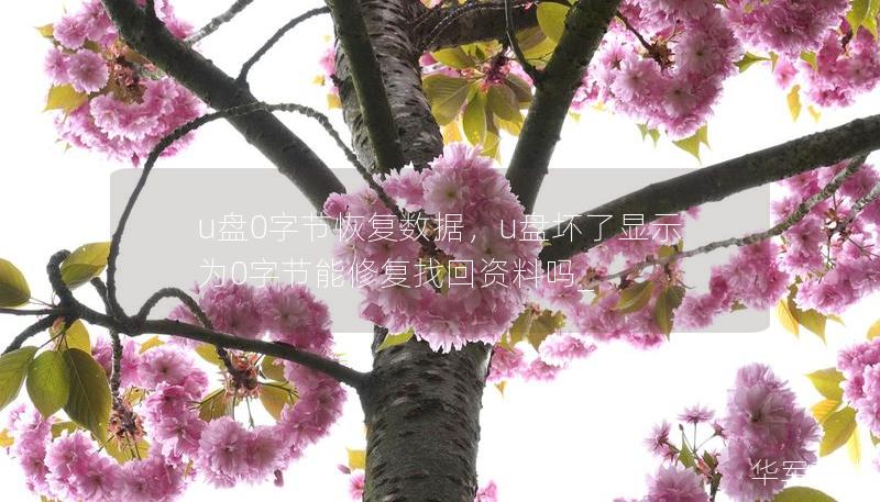 u盤0字節恢復數據，u盤壞了顯示為0字節能修復找回資料嗎_