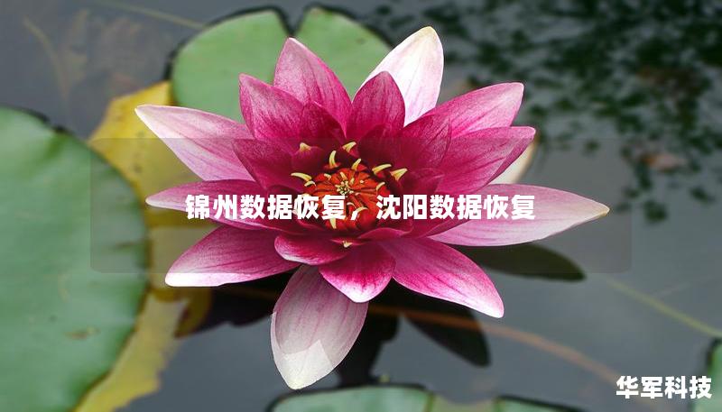 錦州數(shù)據(jù)恢復(fù)，沈陽(yáng)數(shù)據(jù)恢復(fù)