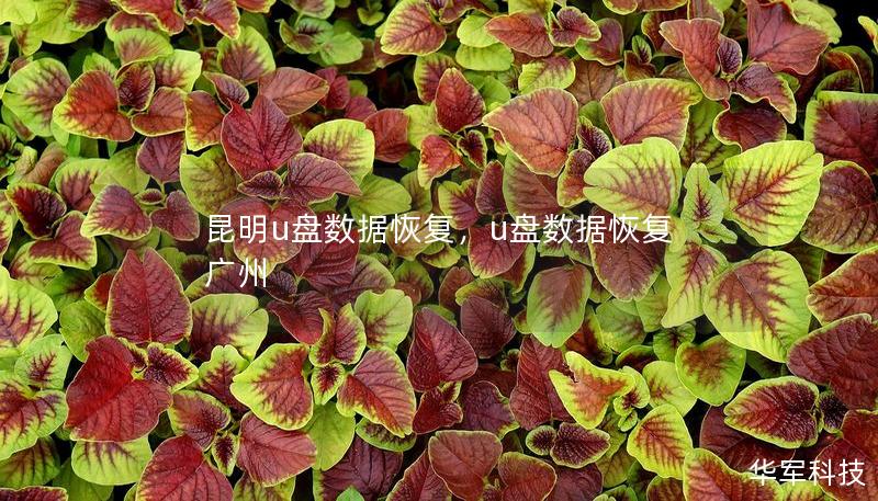 昆明u盤數據恢復，u盤數據恢復 廣州