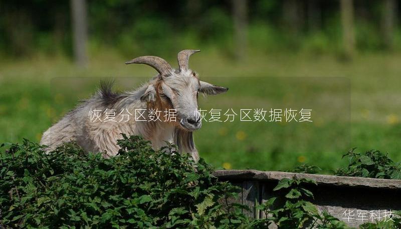恢復(fù)分區(qū)數(shù)據(jù)，恢復(fù)分區(qū)數(shù)據(jù)恢復(fù)