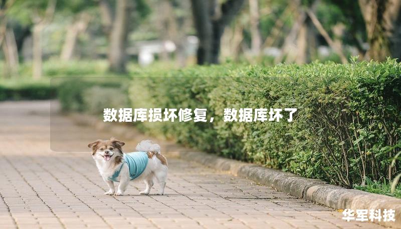 數據庫損壞修復，數據庫壞了