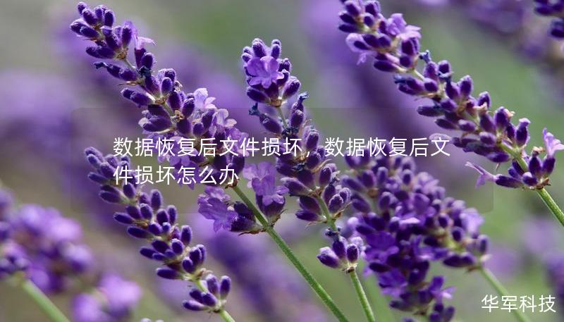 數據恢復后文件損壞，數據恢復后文件損壞怎么辦