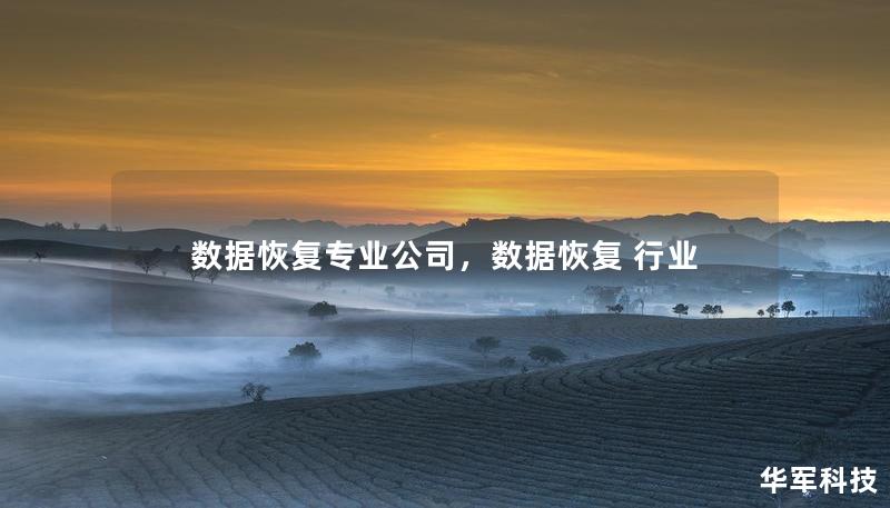 數據恢復專業公司，數據恢復 行業