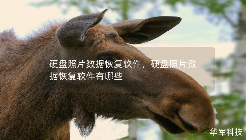硬盤照片數(shù)據(jù)恢復軟件，硬盤照片數(shù)據(jù)恢復軟件有哪些