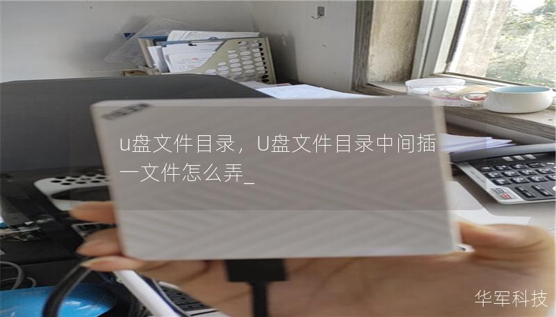 u盤文件目錄，U盤文件目錄中間插一文件怎么弄_