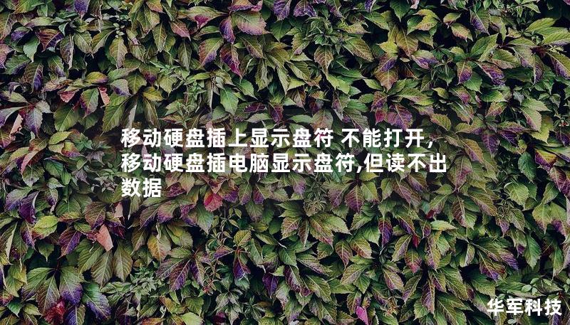 移動(dòng)硬盤(pán)插上顯示盤(pán)符 不能打開(kāi)，移動(dòng)硬盤(pán)插電腦顯示盤(pán)符,但讀不出數(shù)據(jù)