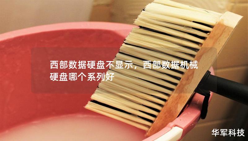西部數據硬盤不顯示，西部數據機械硬盤哪個系列好