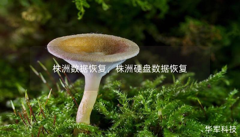 株洲數據恢復，株洲硬盤數據恢復