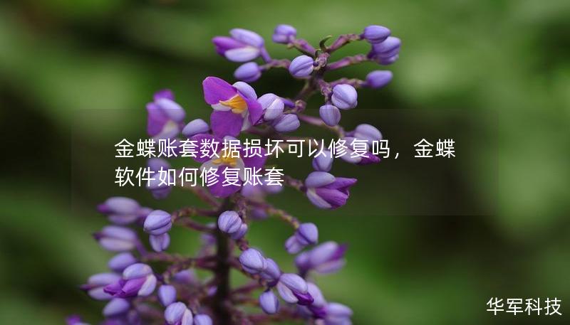金蝶賬套數據損壞可以修復嗎，金蝶軟件如何修復賬套