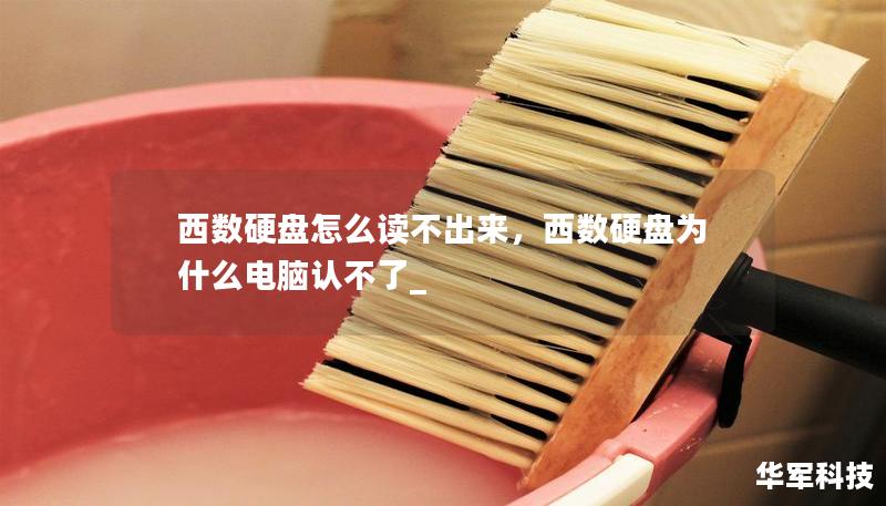 西數硬盤怎么讀不出來，西數硬盤為什么電腦認不了_