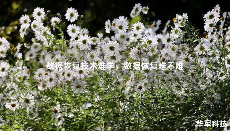 數(shù)據(jù)恢復(fù)技術(shù)難學(xué)，數(shù)據(jù)恢復(fù)難不難